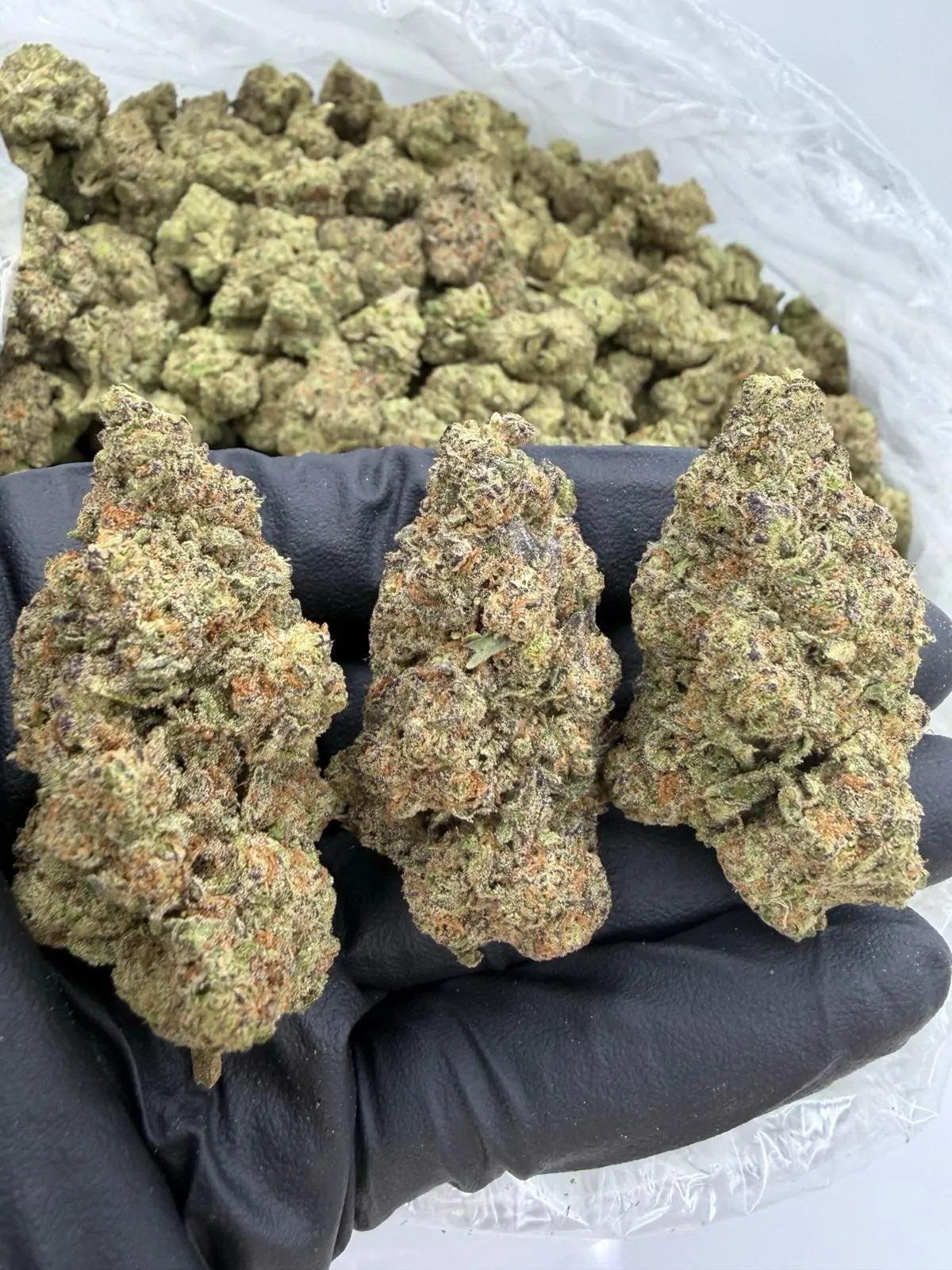 Purple Cream Packaged Flower